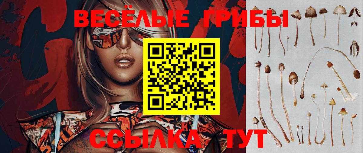 Галлюциногенные грибы ЛСД  Вход с VPN  Кандалакша 